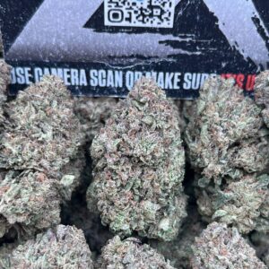 GELATO CAKE