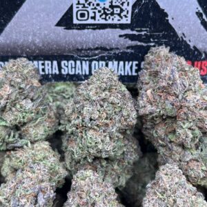 GIRL SCOUT COOKIES